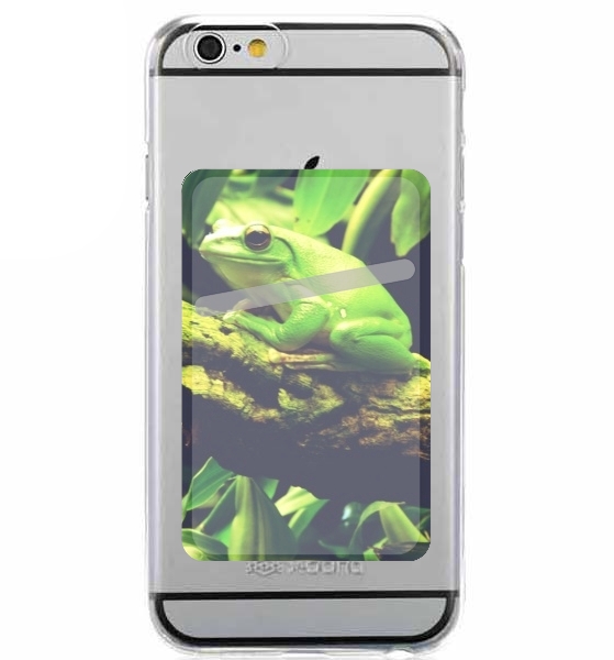  Green Frog para Slot Card