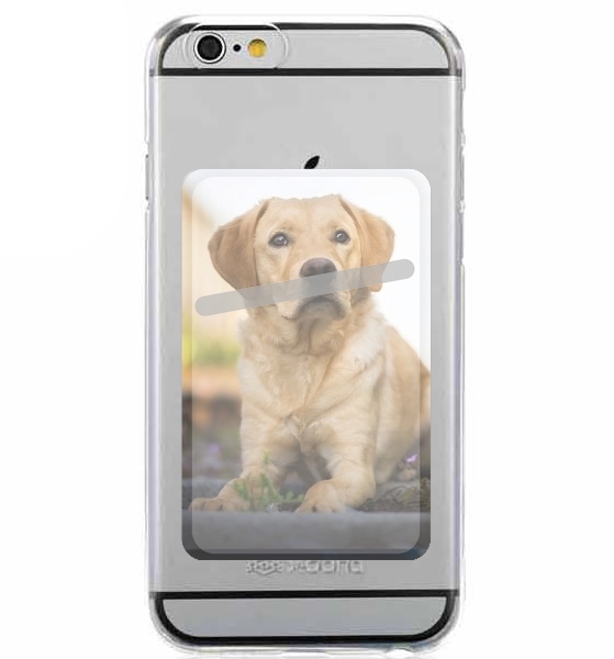  Labrador Dog para Slot Card