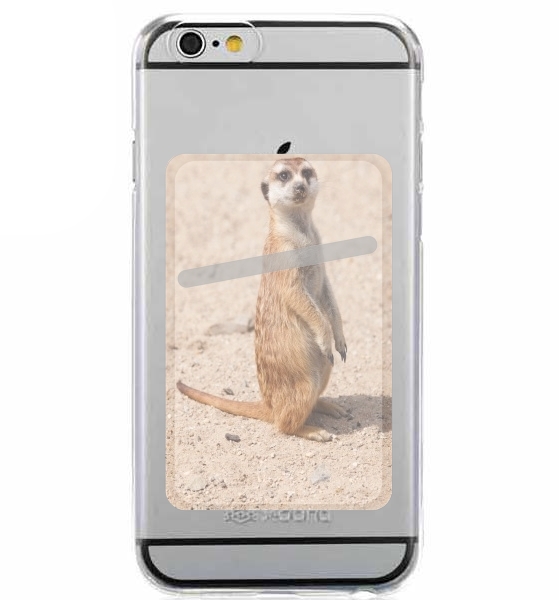  Meerkat para Slot Card