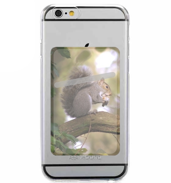  squirrel gentle para Slot Card