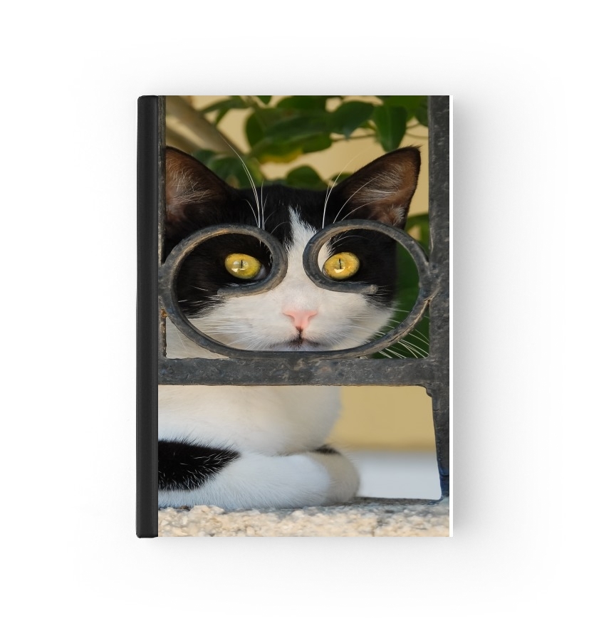  Cat with spectacles frame, she looks through a wrought iron fence para Personalizable calendario escolar