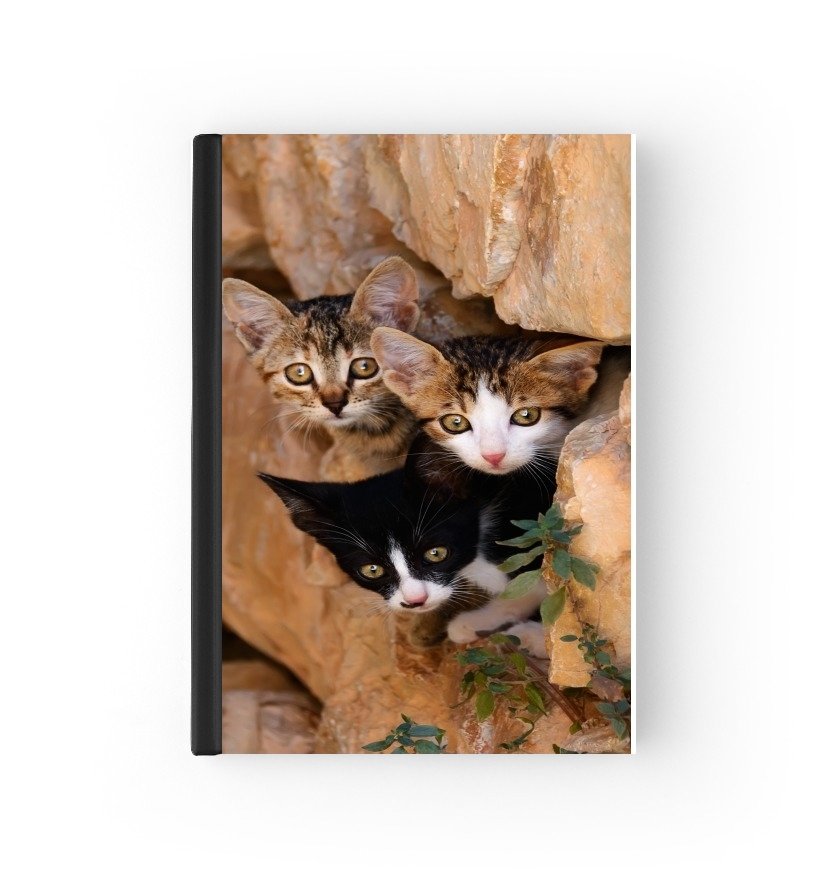  Three cute kittens in a wall hole para Personalizable calendario escolar