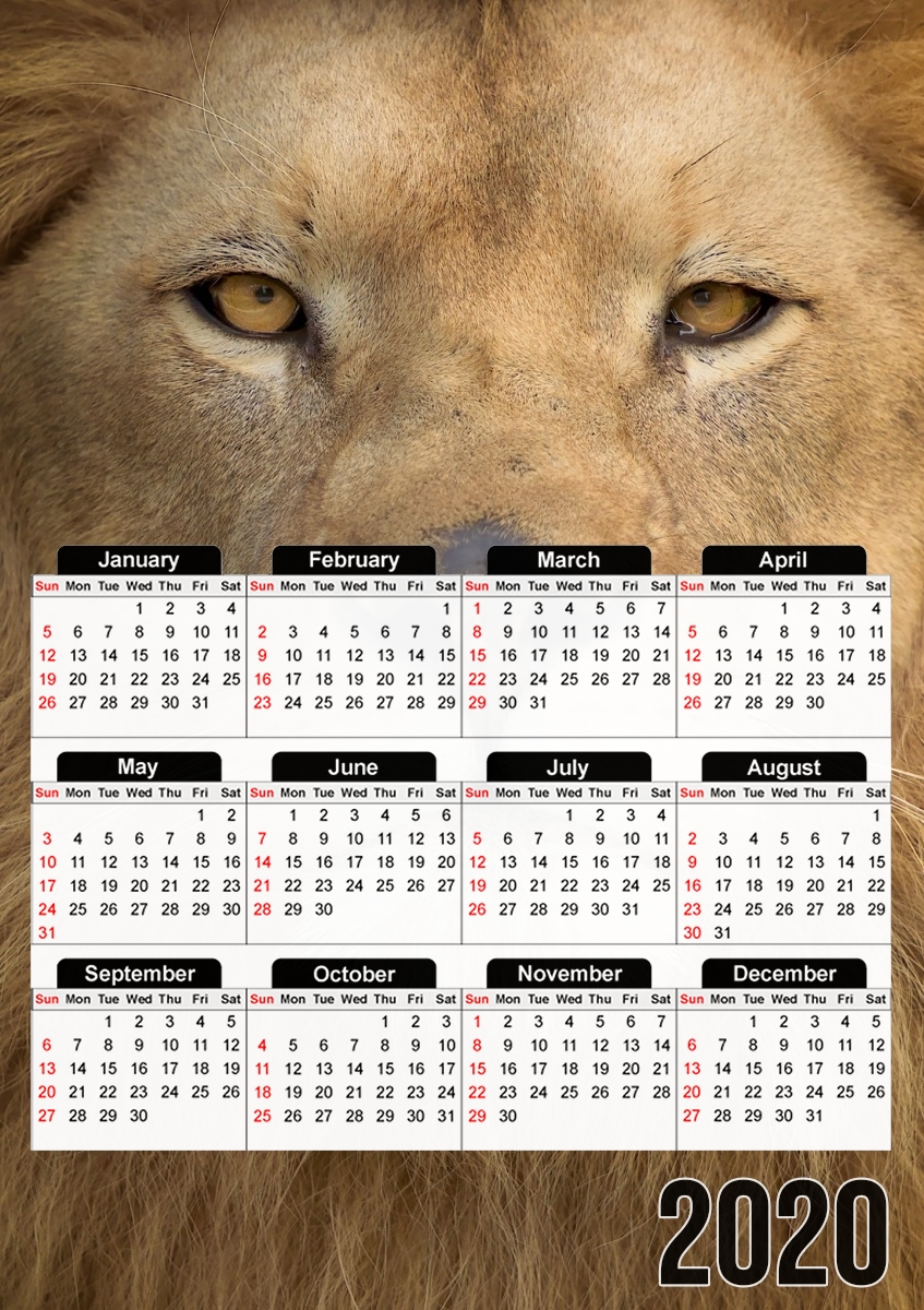  Africa Lion para A3 Photo Calendar 30x43cm