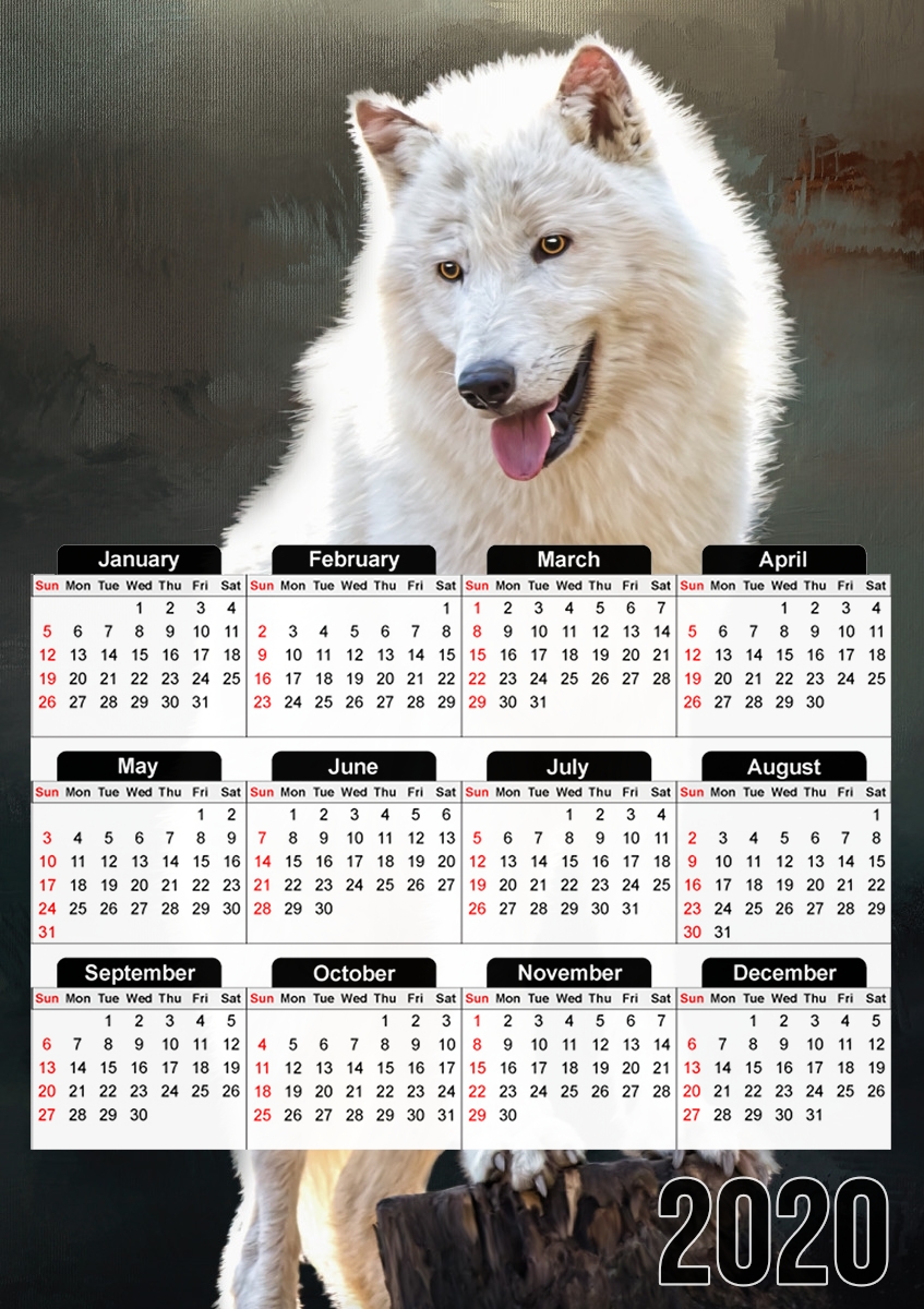  Arctic wolf para A3 Photo Calendar 30x43cm