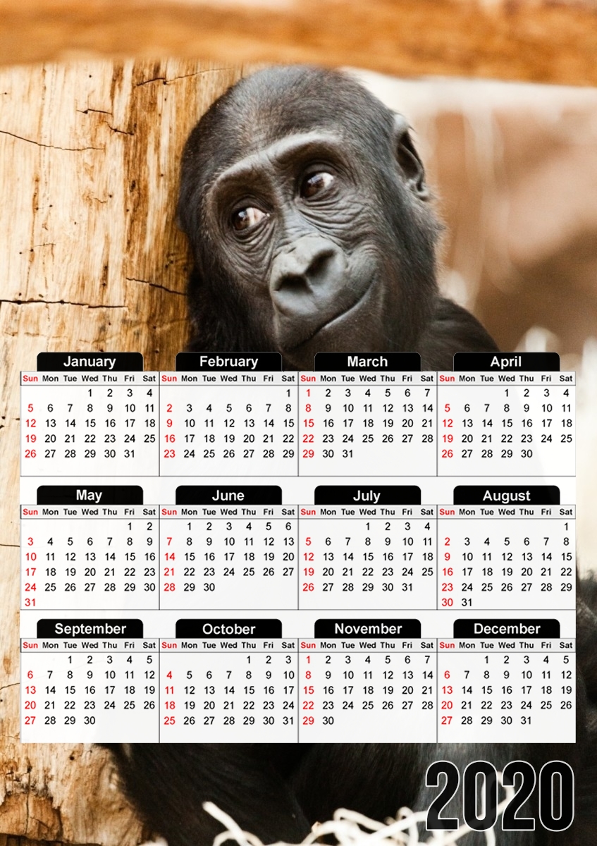  Baby Monkey para A3 Photo Calendar 30x43cm