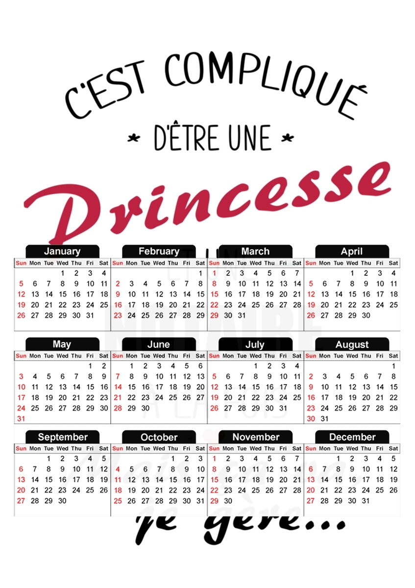  C est complique princesse et notaire a la fois para A3 Photo Calendar 30x43cm