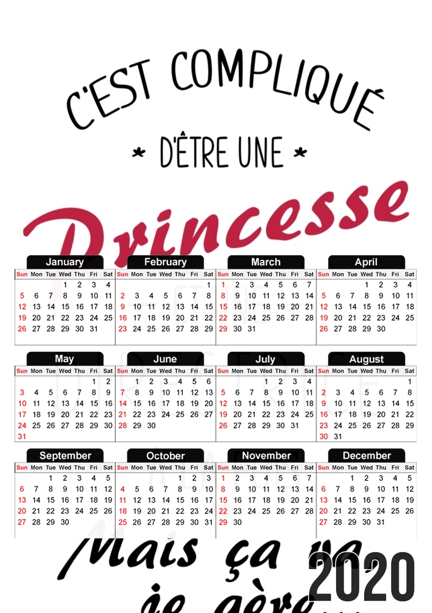  Cest complique detre une princesse et une directrice para A3 Photo Calendar 30x43cm