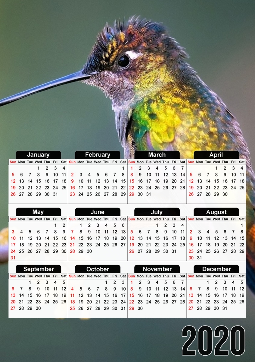  Colobri Birl Colo para A3 Photo Calendar 30x43cm