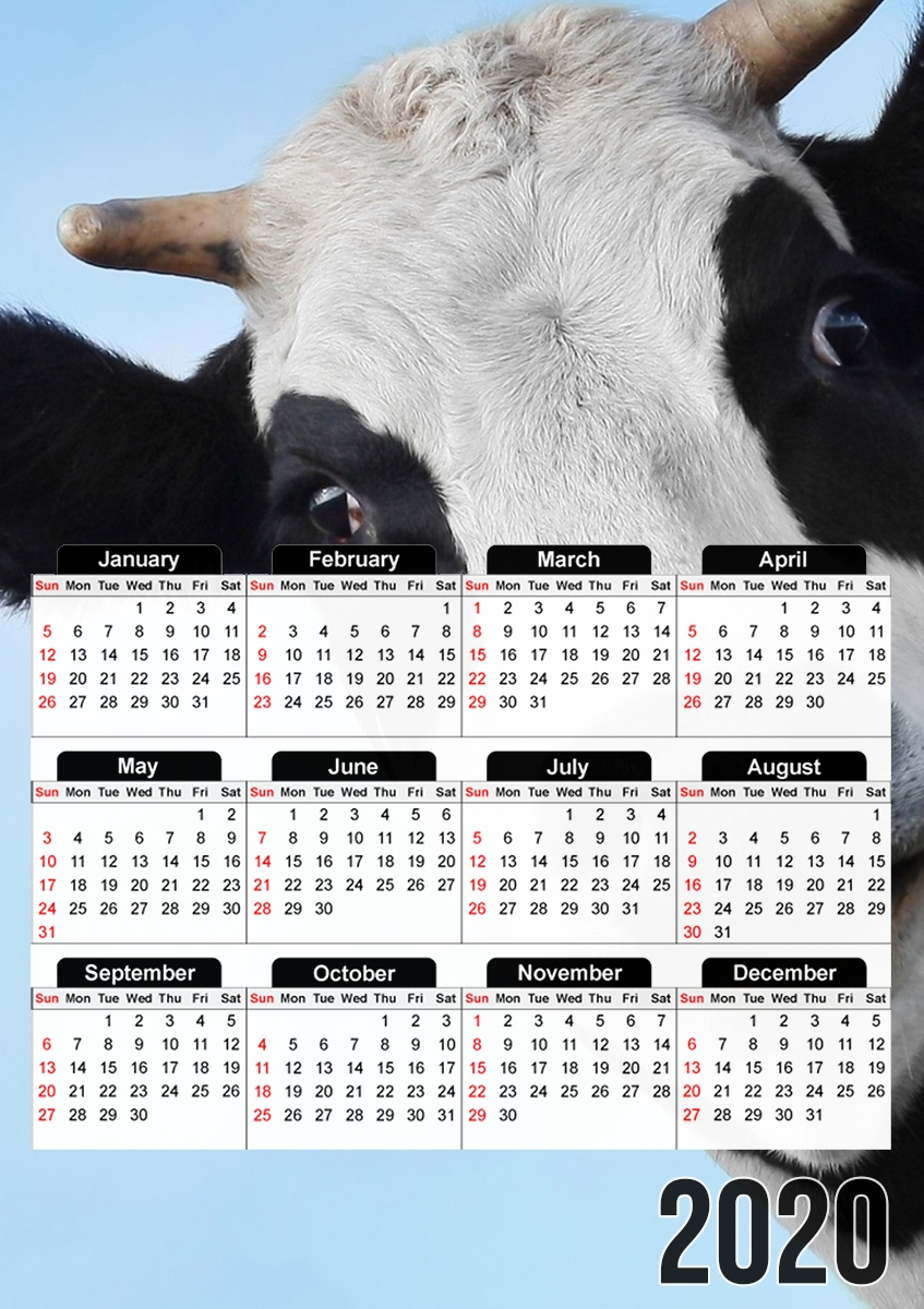  Cow para A3 Photo Calendar 30x43cm