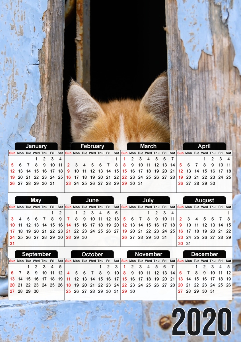  Cute curious kittens in an old window para A3 Photo Calendar 30x43cm