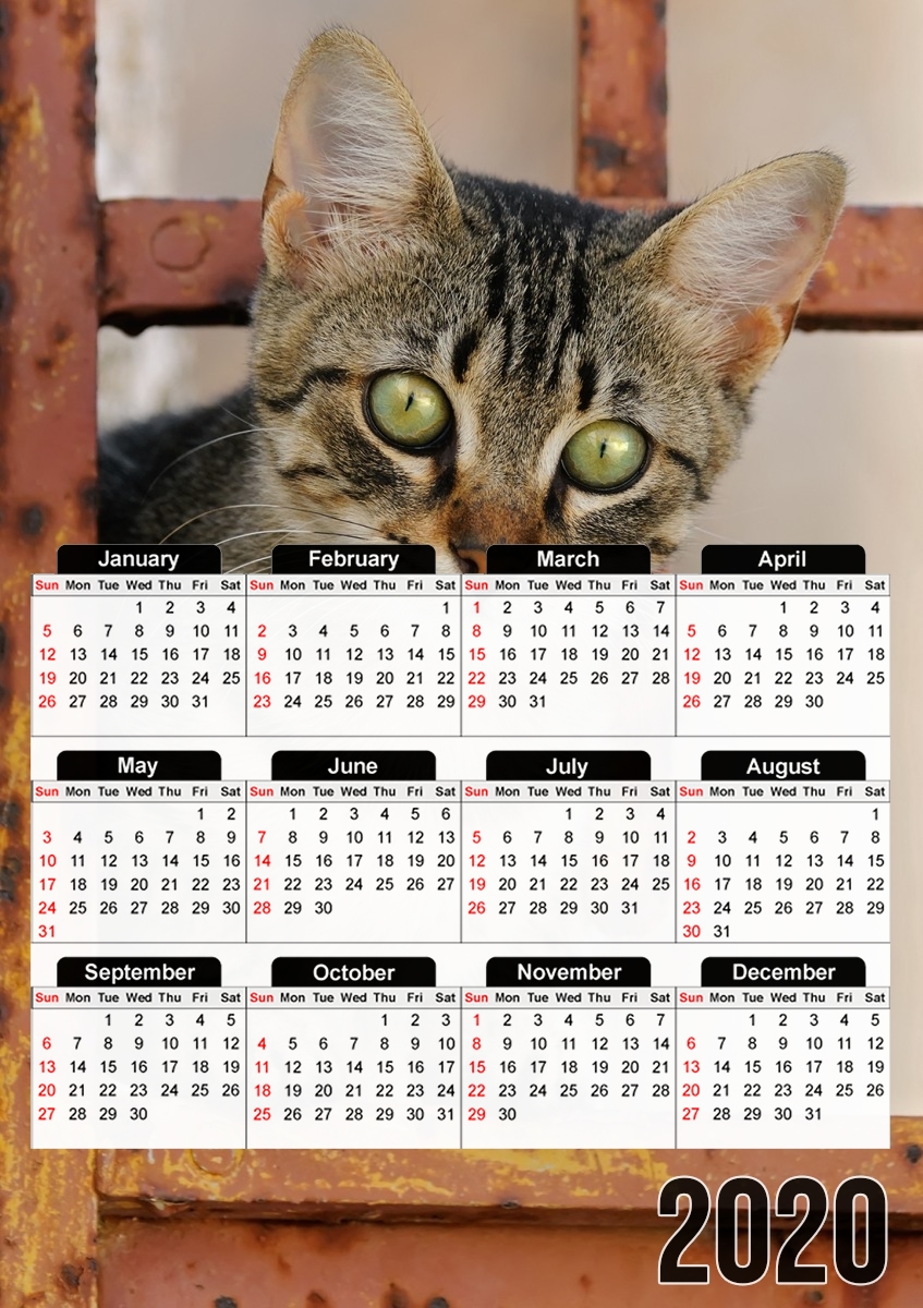  Cute kitten on a rusty iron door  para A3 Photo Calendar 30x43cm