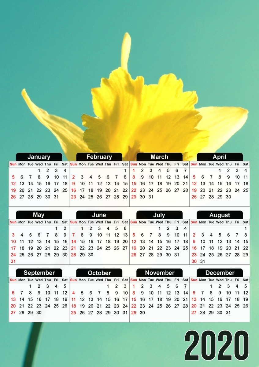  Daffodil para A3 Photo Calendar 30x43cm