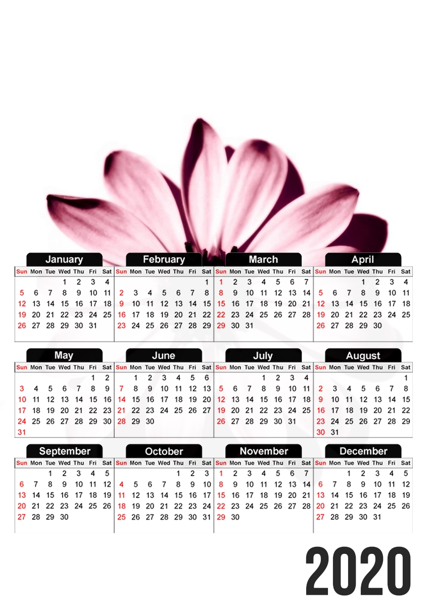  Daisy Burgundy para A3 Photo Calendar 30x43cm