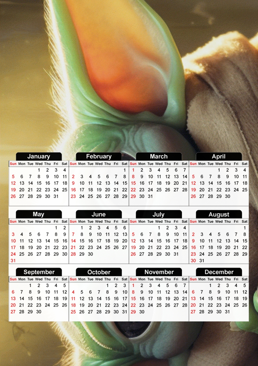  Eyes Kid Grogu para A3 Photo Calendar 30x43cm