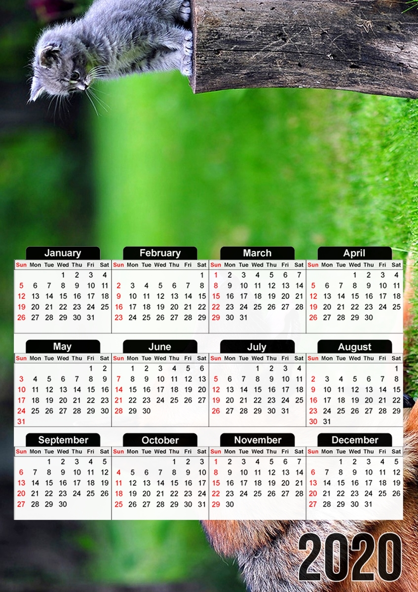  German shepherd with cat para A3 Photo Calendar 30x43cm