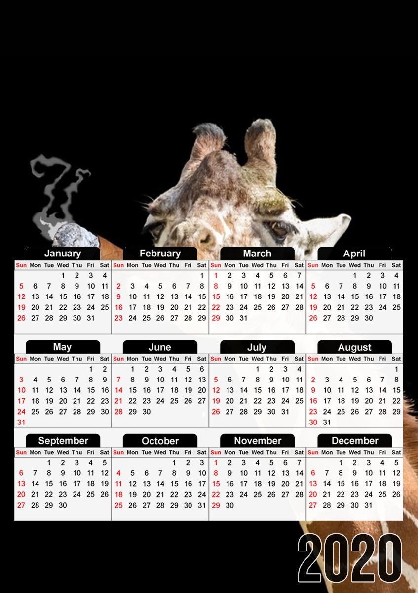  Girafe smoking cigare para A3 Photo Calendar 30x43cm