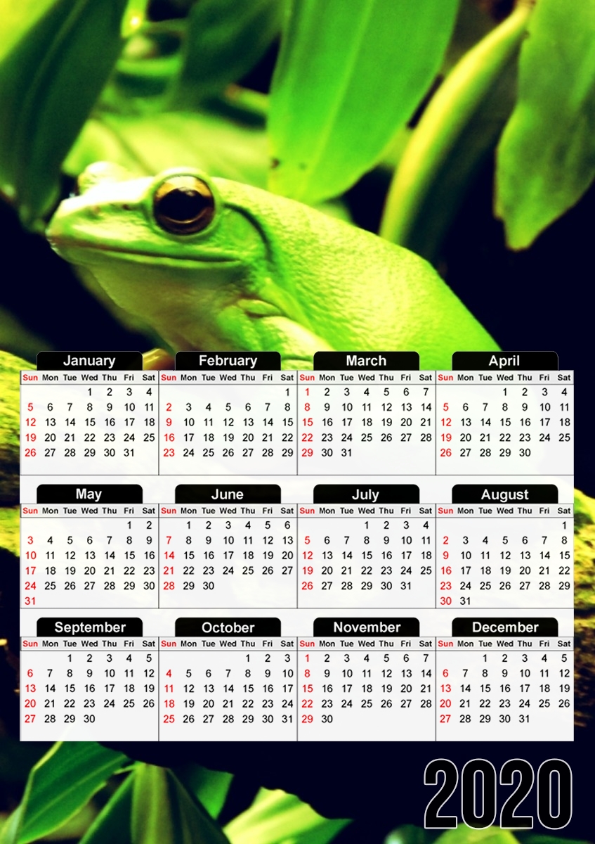  Green Frog para A3 Photo Calendar 30x43cm