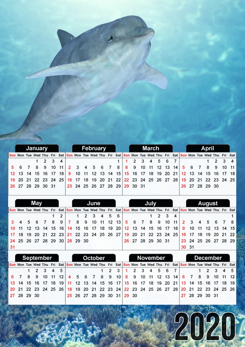  happy dolphins para A3 Photo Calendar 30x43cm