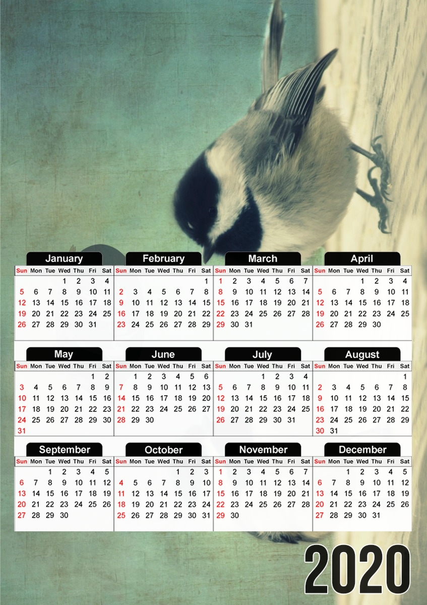  Hello Birds para A3 Photo Calendar 30x43cm