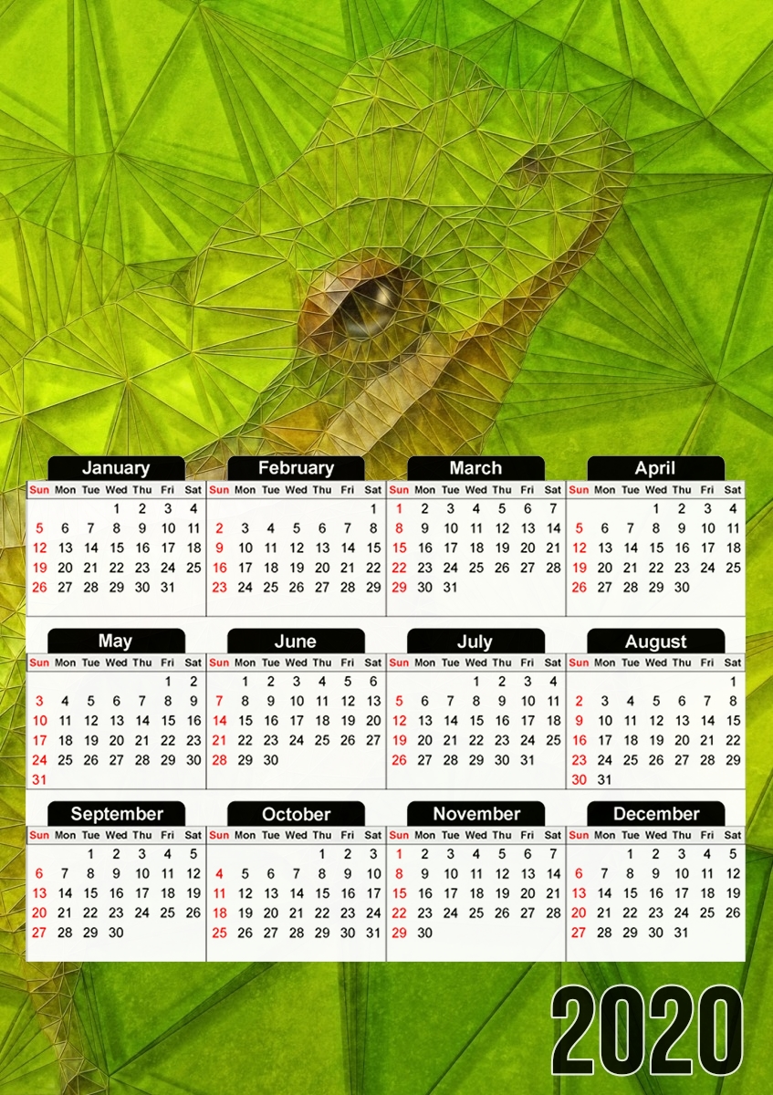  hidden frog para A3 Photo Calendar 30x43cm