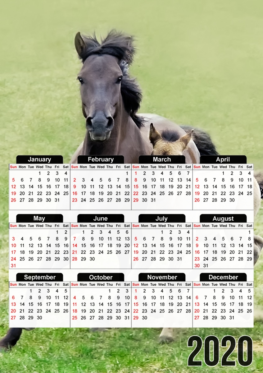  Horses, wild Duelmener ponies, mare and foal para A3 Photo Calendar 30x43cm