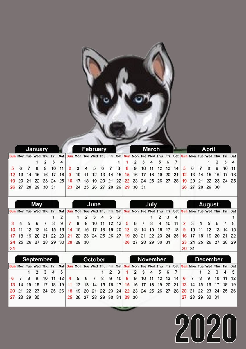  Husky Dog in the pocket para A3 Photo Calendar 30x43cm