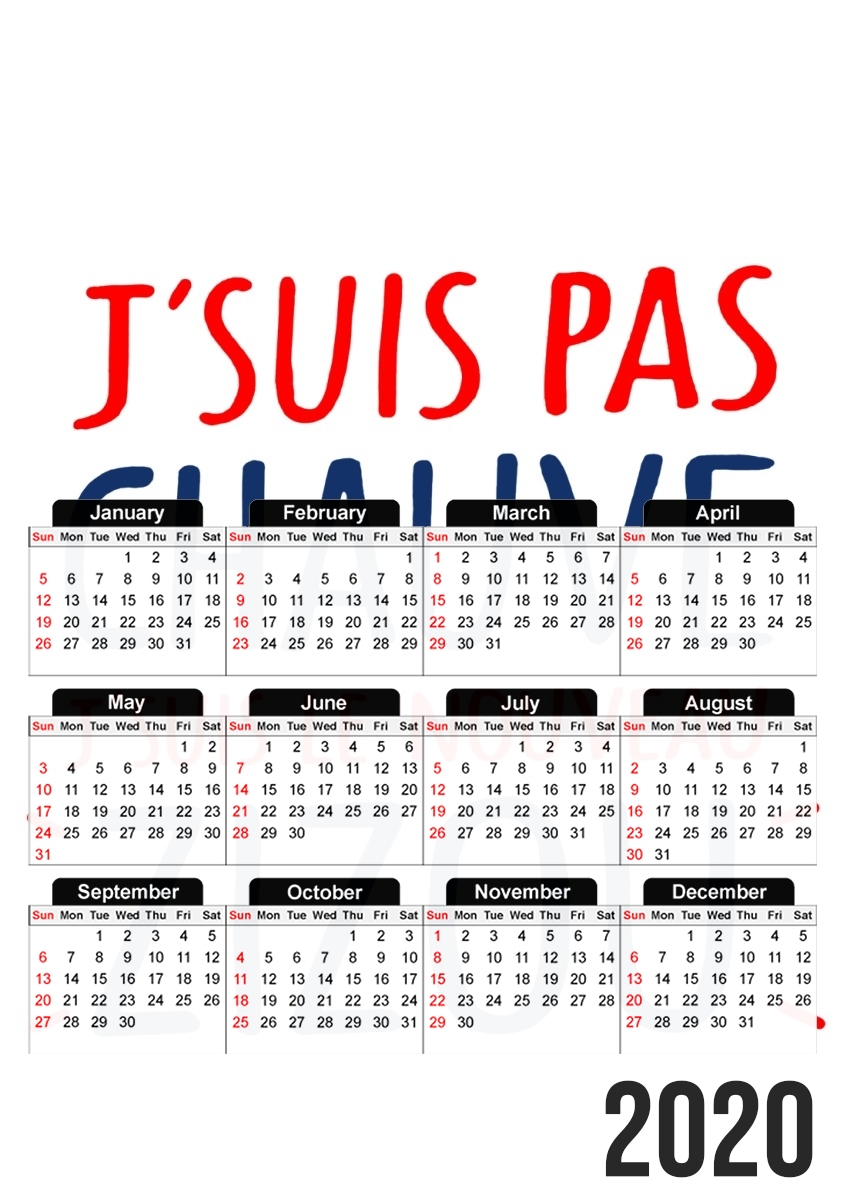  Je ne suis pas chauve Je suis le nouveau ZiZou para A3 Photo Calendar 30x43cm