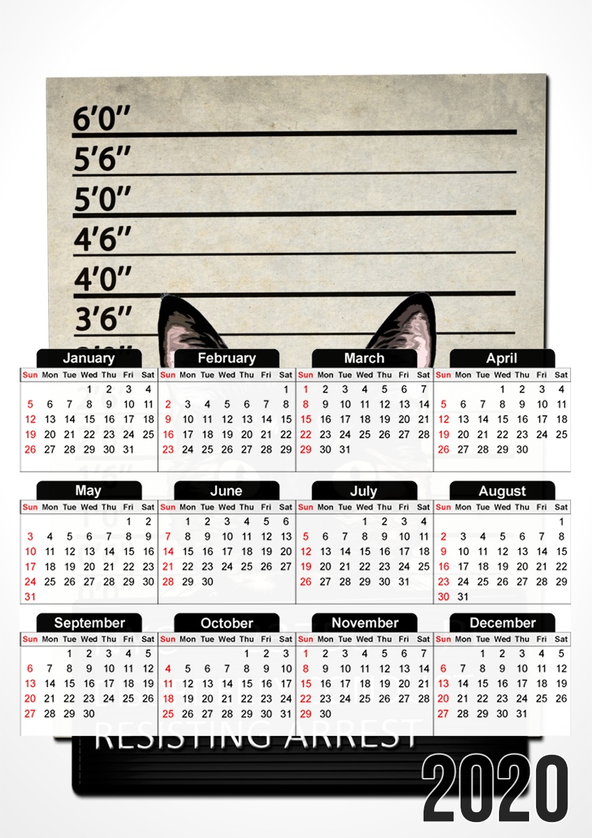  Kitty Mugshot para A3 Photo Calendar 30x43cm