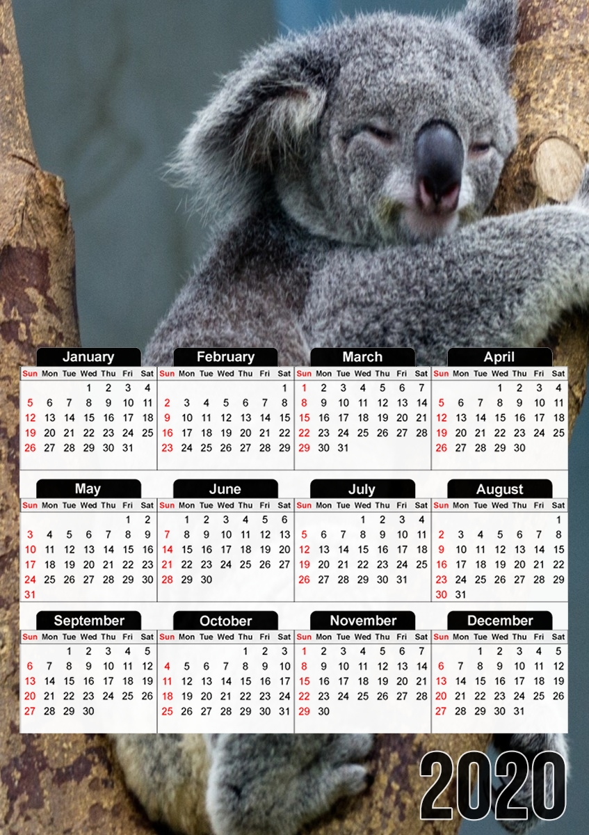  Koala Bear Australia para A3 Photo Calendar 30x43cm