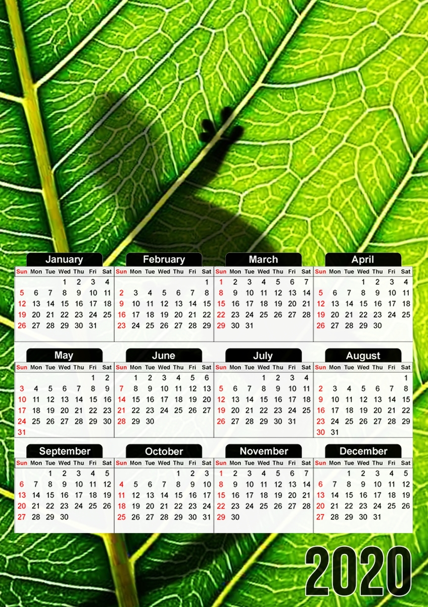  Lizard para A3 Photo Calendar 30x43cm