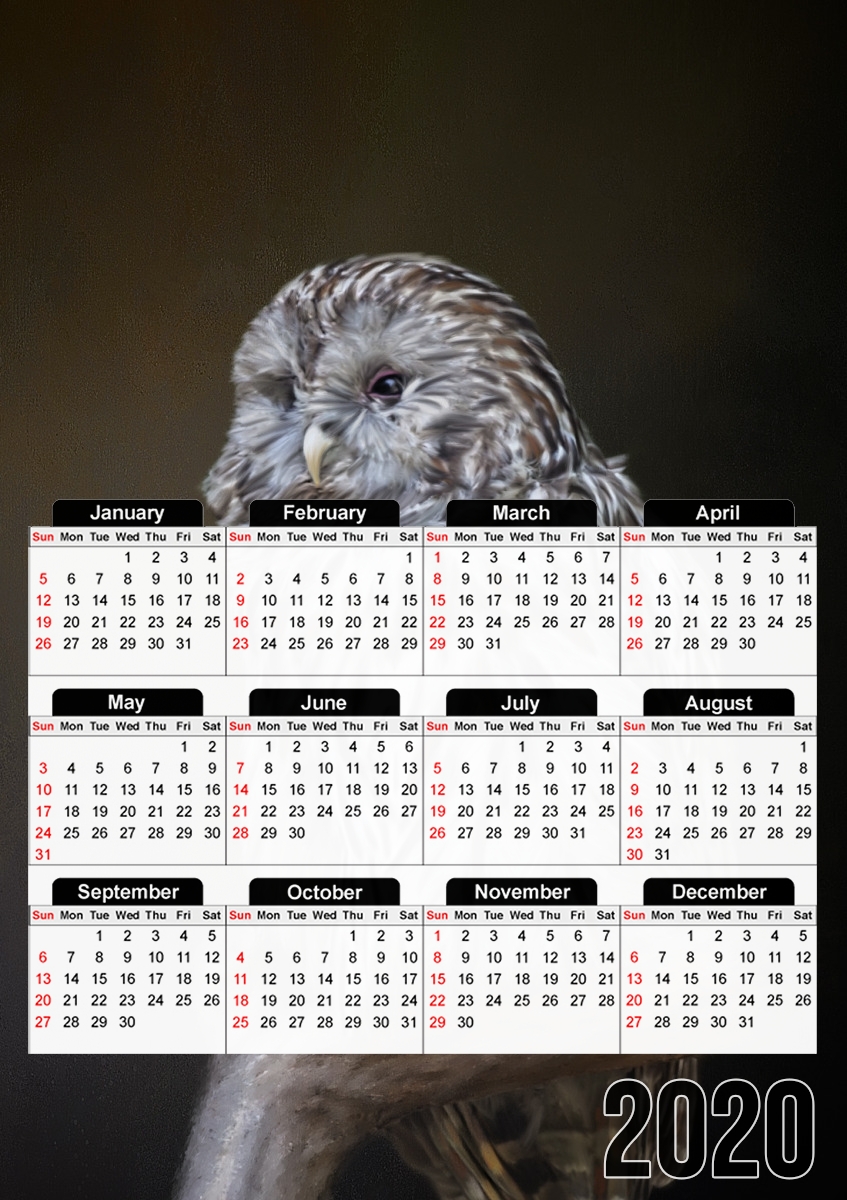  Lovely cute owl para A3 Photo Calendar 30x43cm