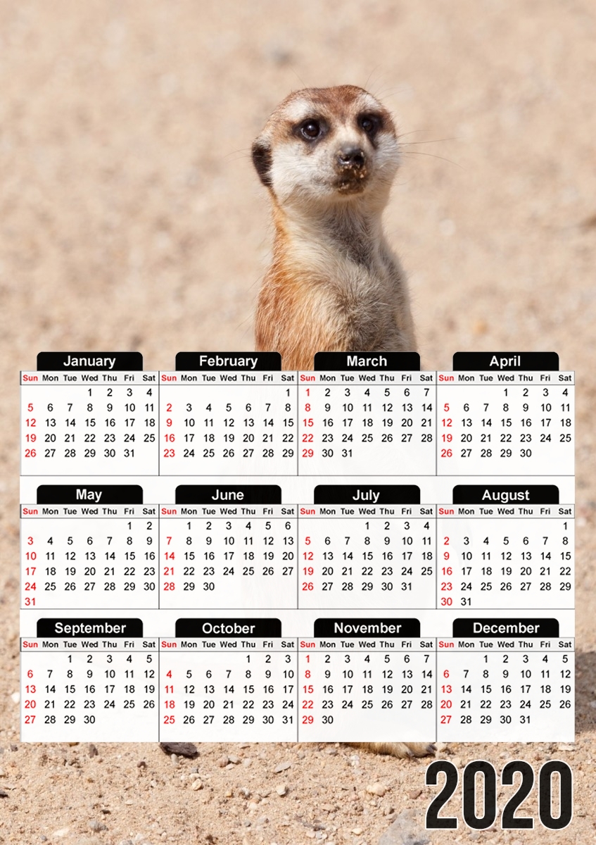  Meerkat para A3 Photo Calendar 30x43cm