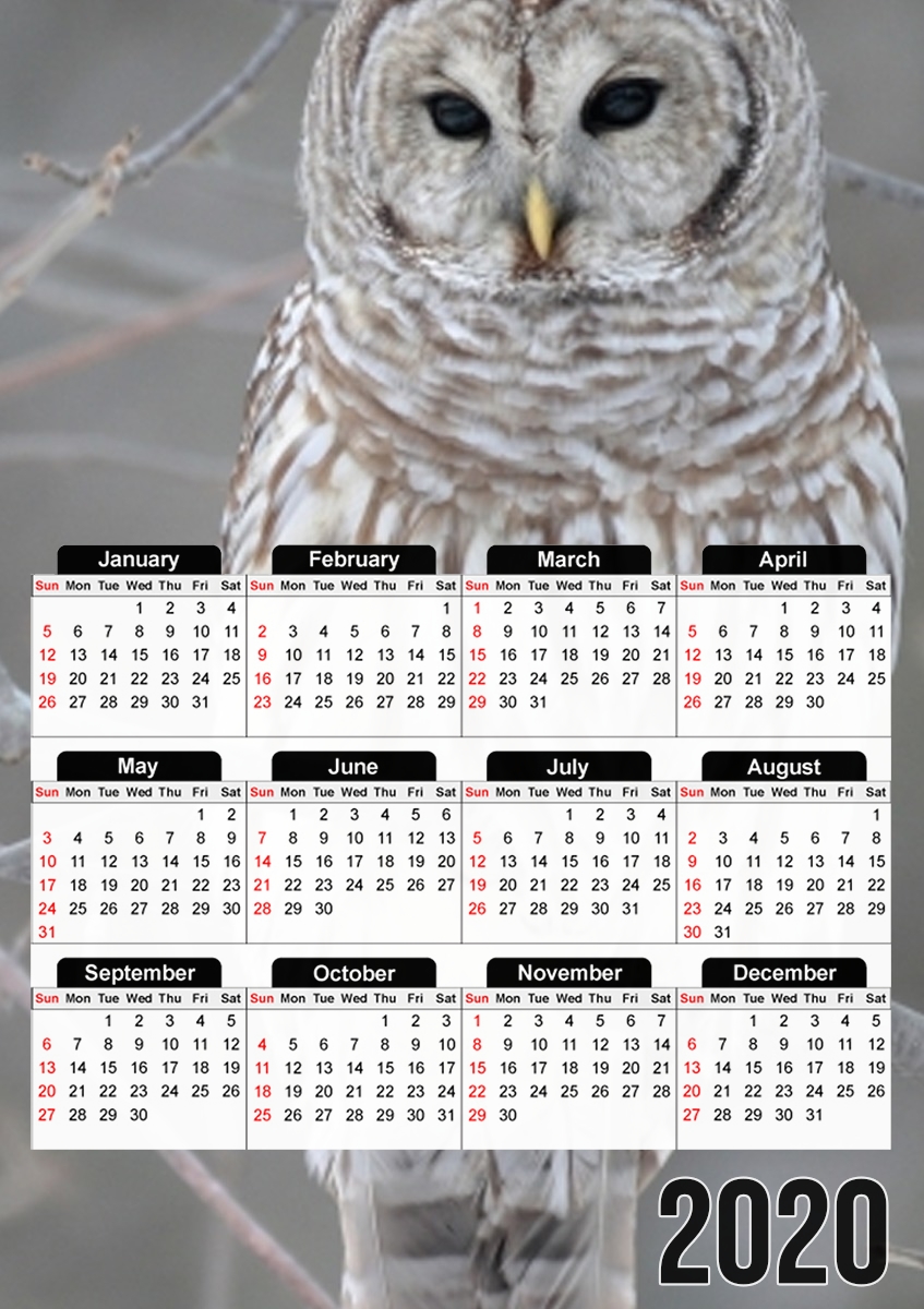  owl bird on a branch para A3 Photo Calendar 30x43cm