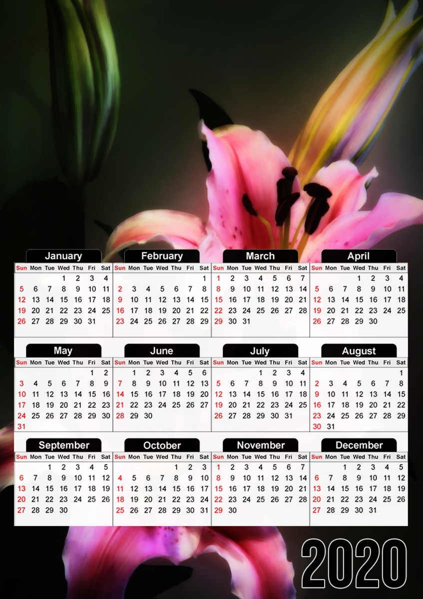  Painting Pink Stargazer Lily para A3 Photo Calendar 30x43cm