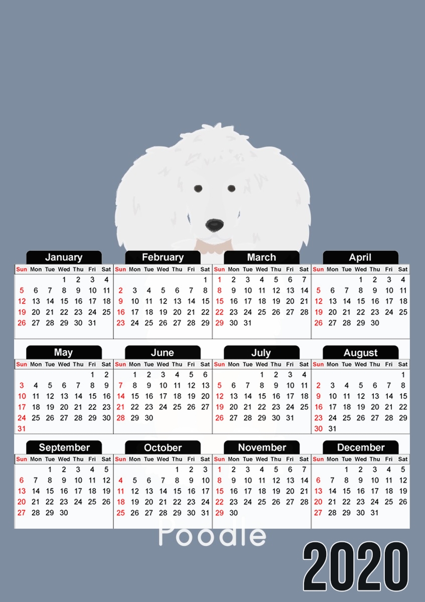  Poodle White para A3 Photo Calendar 30x43cm