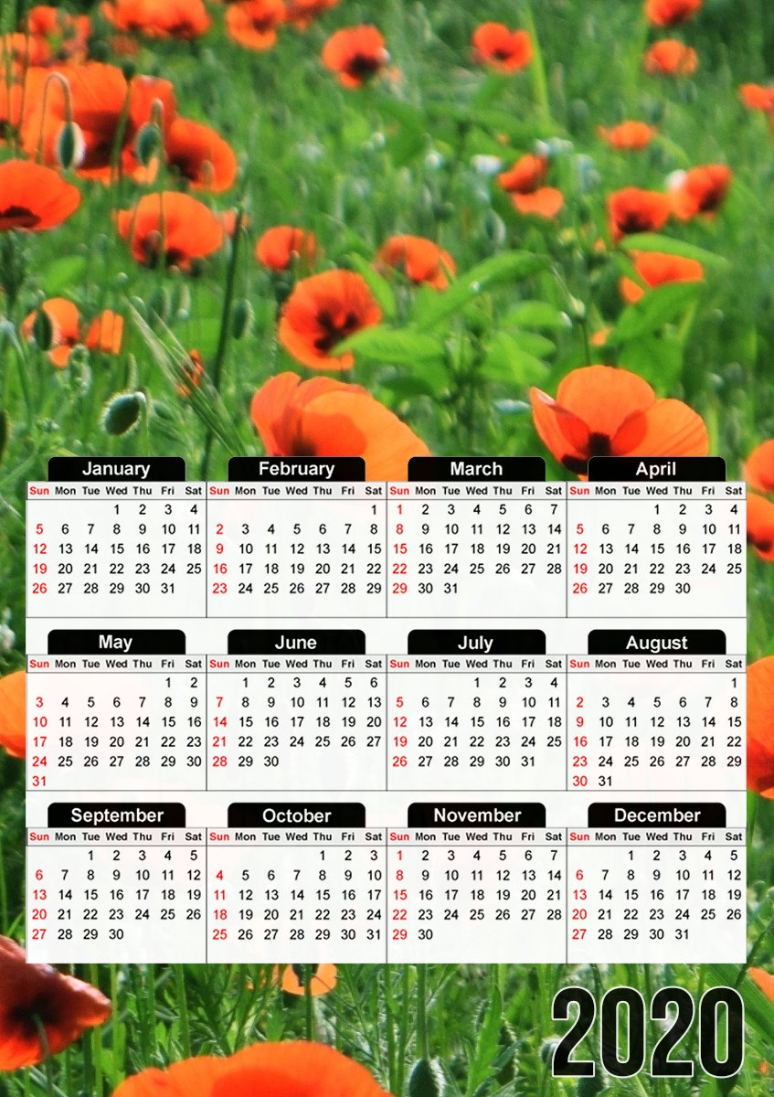  POPPY FIELD para A3 Photo Calendar 30x43cm