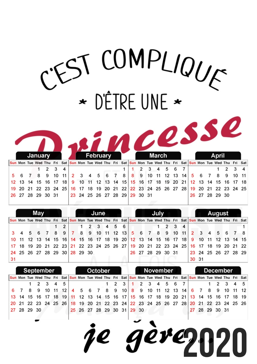  Princesse et anesthesiste para A3 Photo Calendar 30x43cm