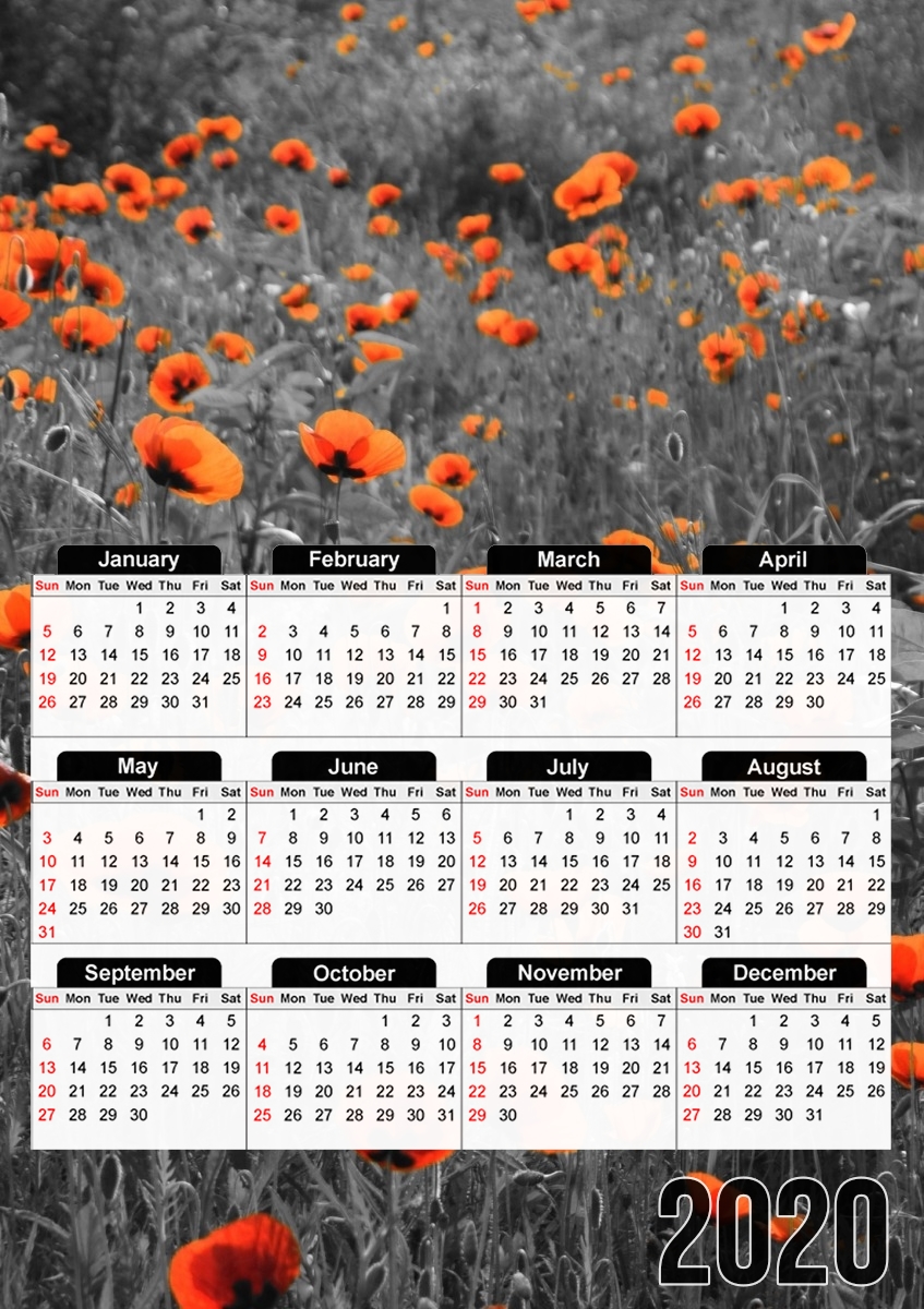  Red and Black Field para A3 Photo Calendar 30x43cm