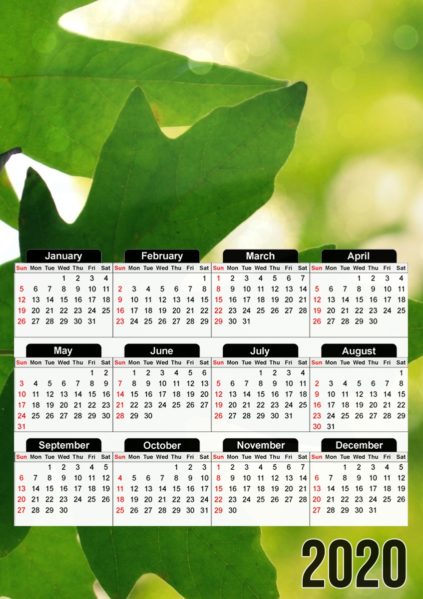  Resist para A3 Photo Calendar 30x43cm