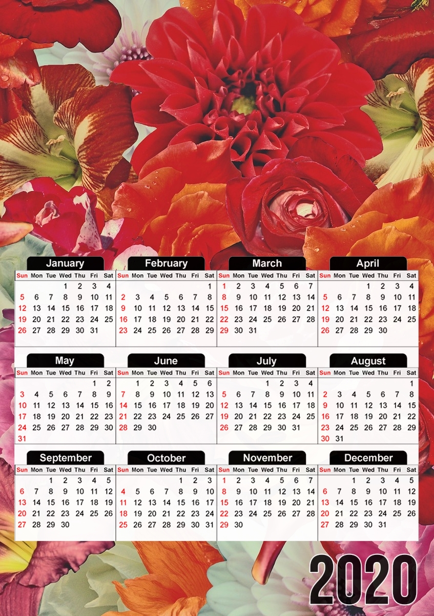  Rosses para A3 Photo Calendar 30x43cm