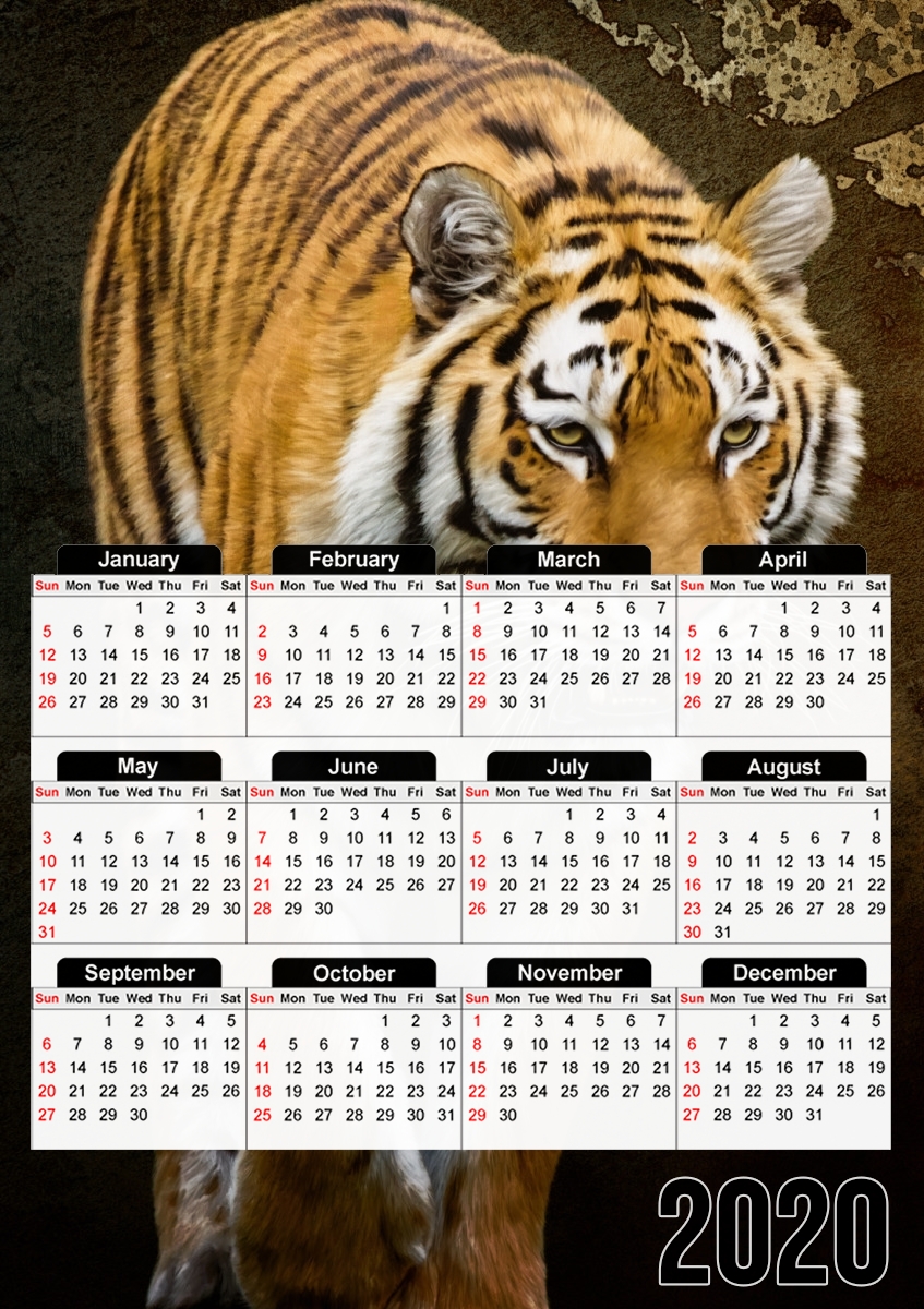  Siberian tiger para A3 Photo Calendar 30x43cm