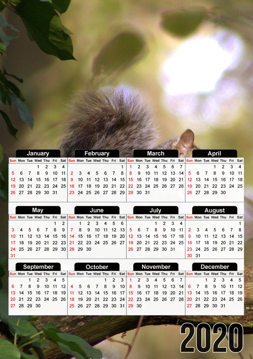  squirrel gentle para A3 Photo Calendar 30x43cm