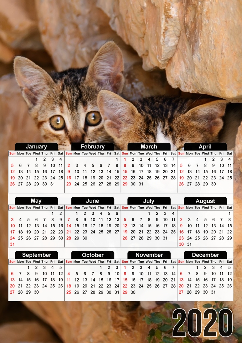  Three cute kittens in a wall hole para A3 Photo Calendar 30x43cm