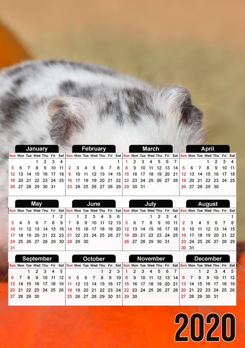  White Dalmatian Hamster with black spots  para A3 Photo Calendar 30x43cm