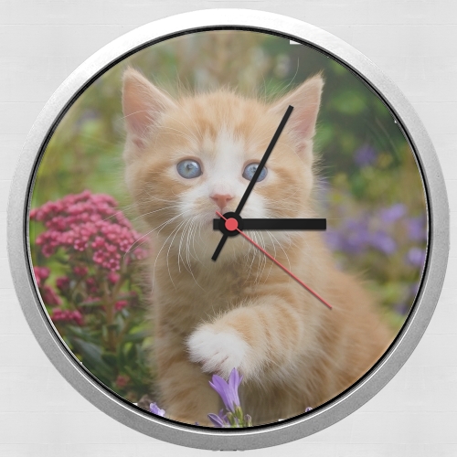  Cute ginger kitten in a flowery garden, lovely and enchanting cat para Reloj de pared
