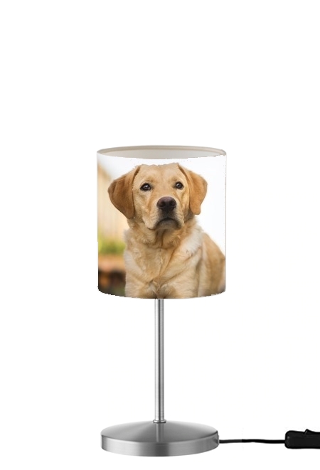  Labrador Dog para Lámpara de mesa / mesita de noche