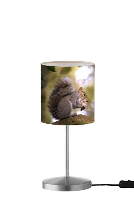  squirrel gentle para Lámpara de mesa / mesita de noche