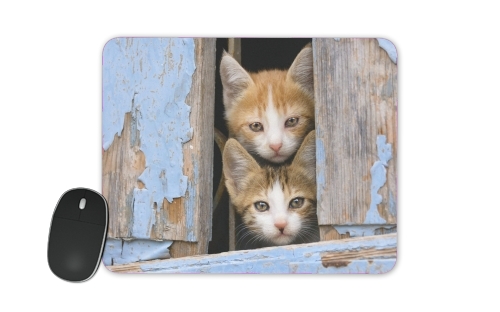  Cute curious kittens in an old window para alfombrillas raton