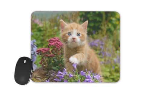  Cute ginger kitten in a flowery garden, lovely and enchanting cat para alfombrillas raton