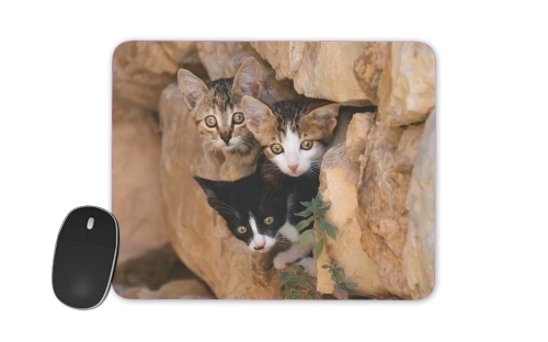  Three cute kittens in a wall hole para alfombrillas raton